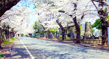 上野桜木あたり